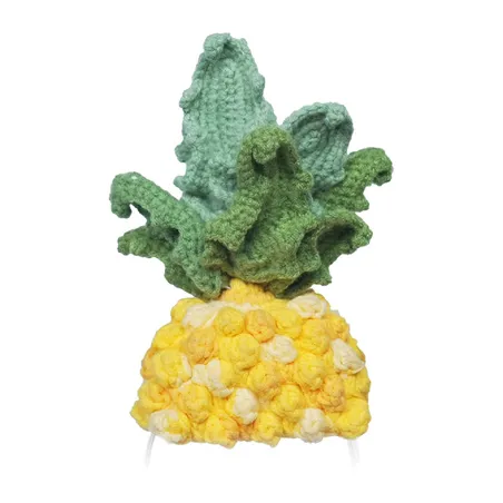 Knitted costume for Loona Premium Pineapple